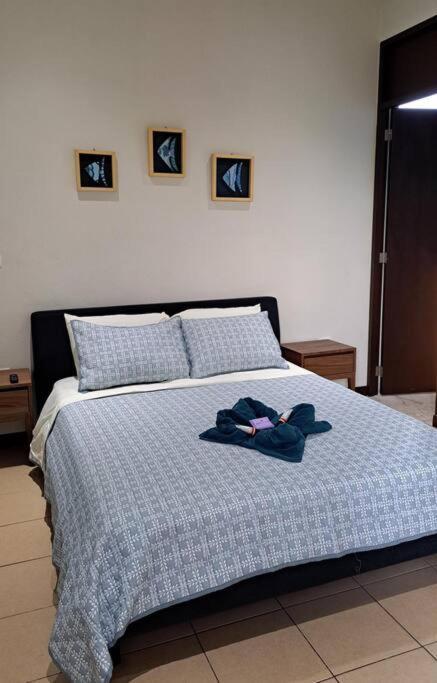 Playa Blanca - Moro Blue Apartman Cancún Kültér fotó